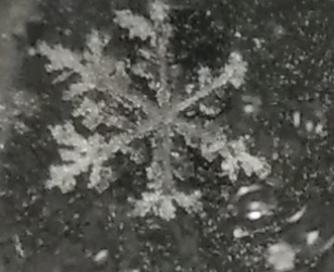 雪の結晶を写真に撮った